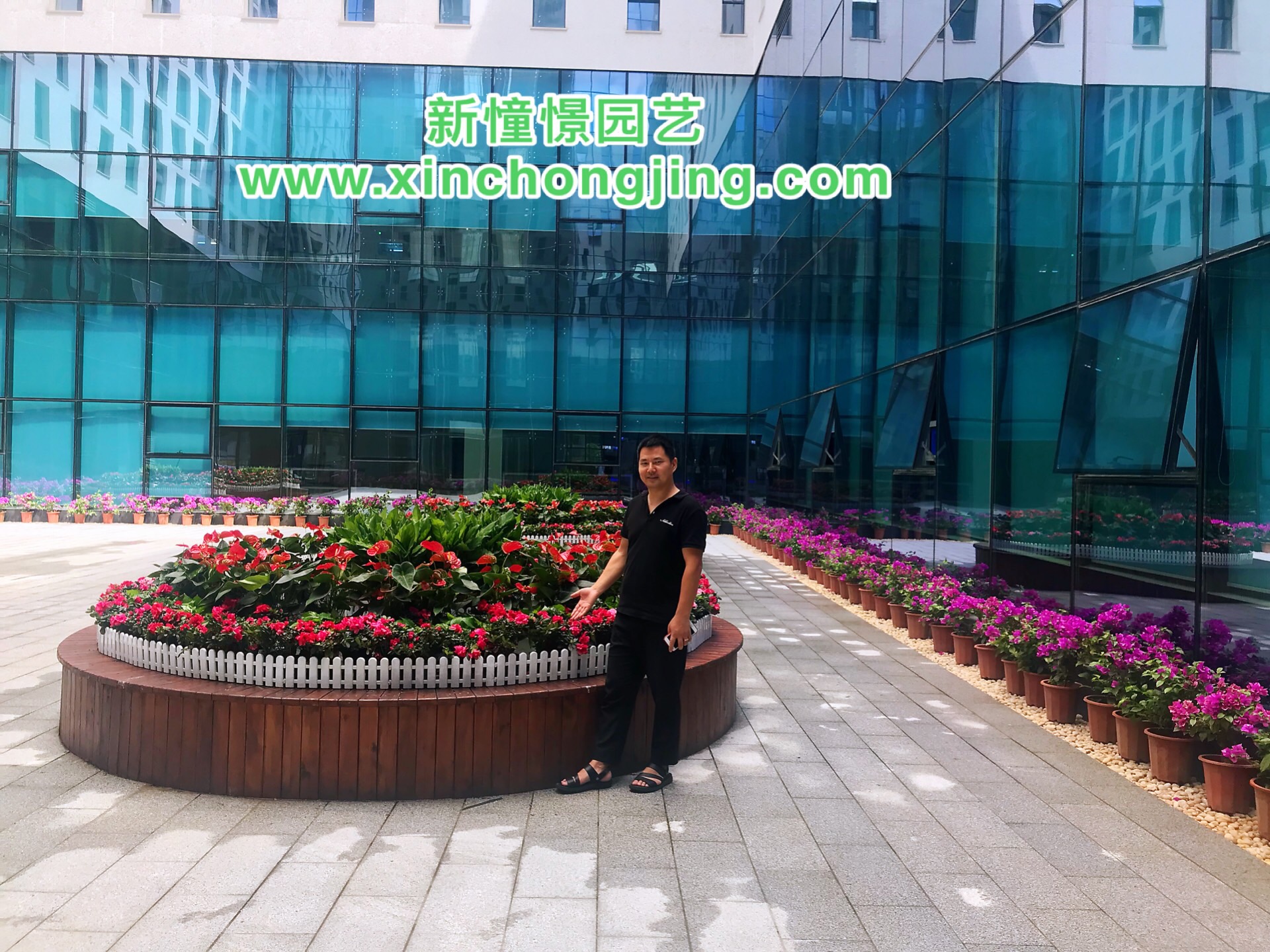 長沙花卉租擺——景嘉微電子臨時擺花