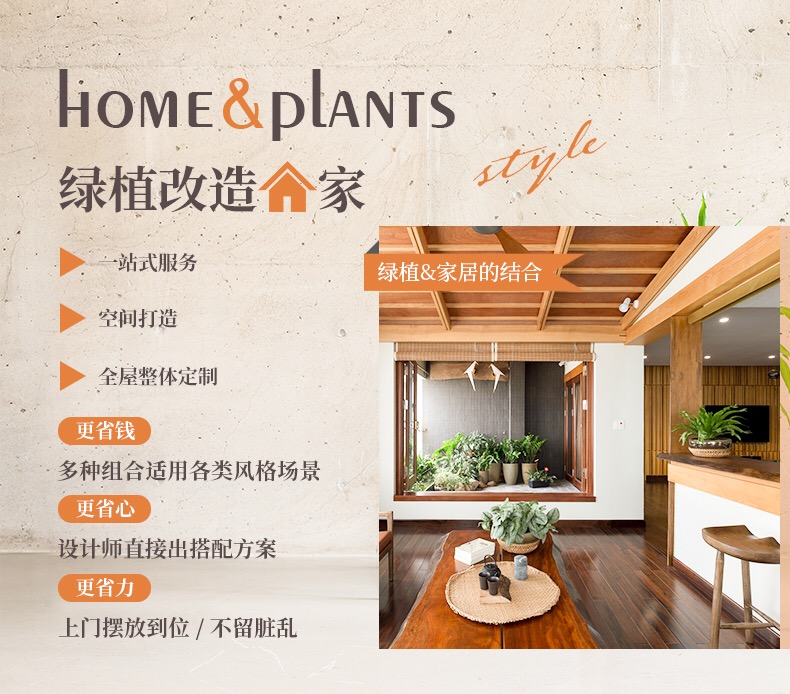長沙花卉租擺-家庭租花