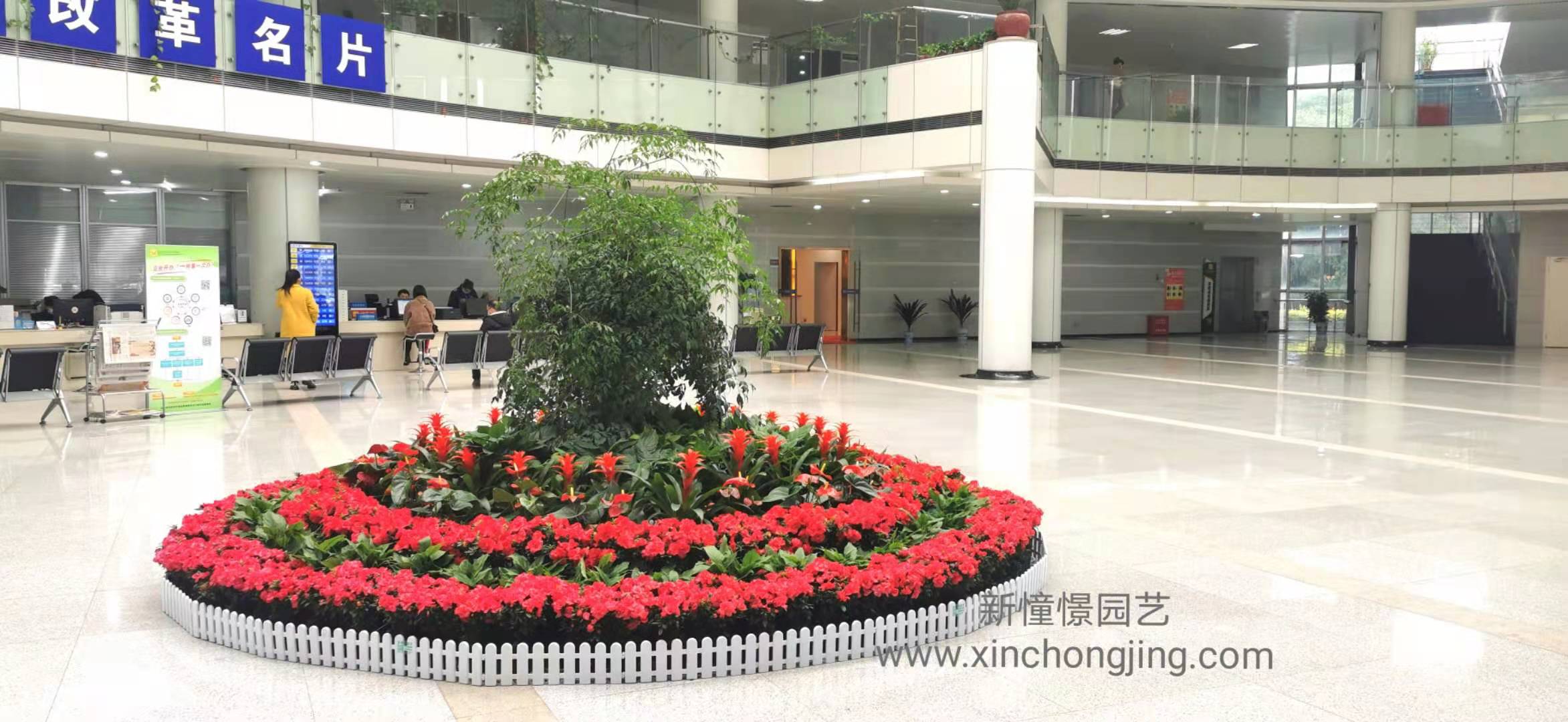 長沙花卉租擺-春節擺花-長沙經開區