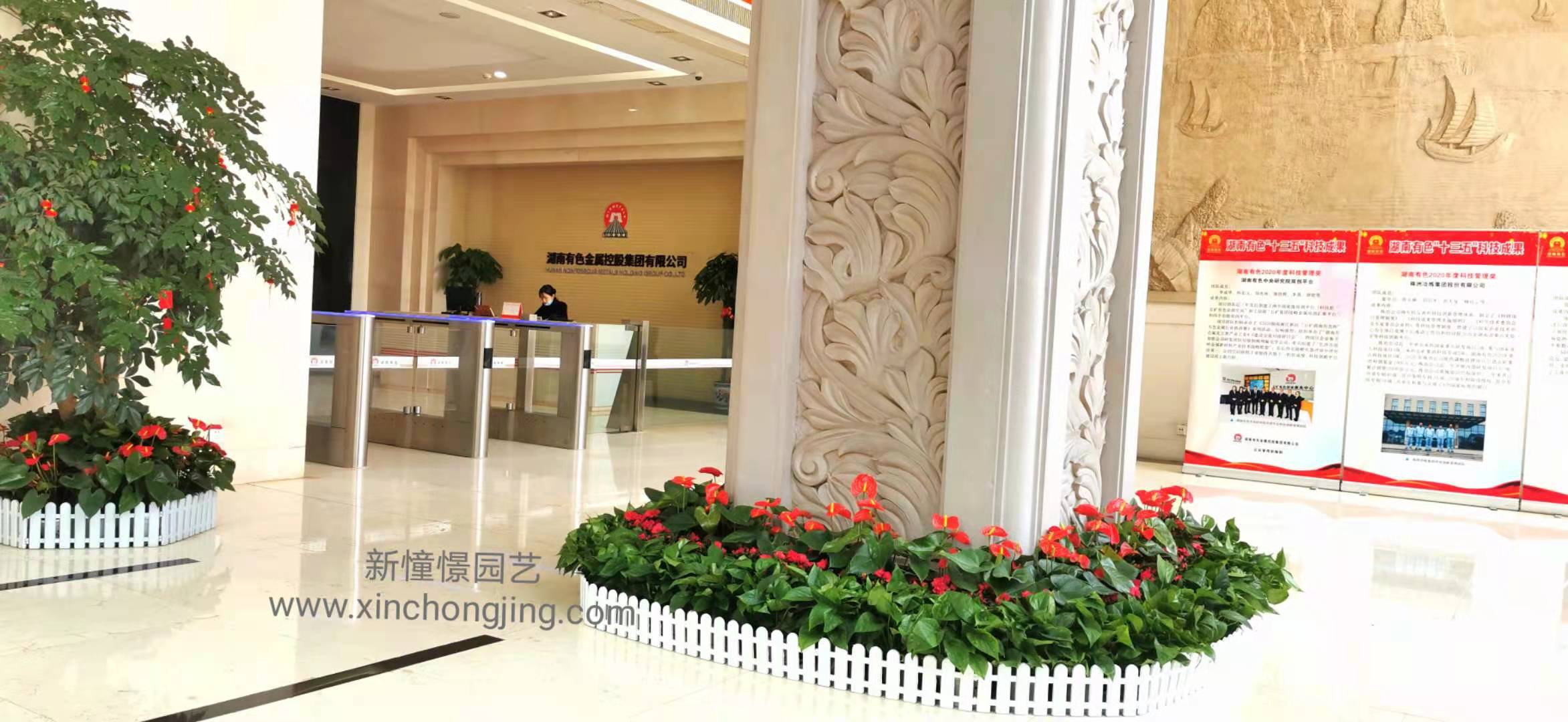 長(zhǎng)沙花卉租擺——綠植租擺-辦公樓擺花-公司總部擺花-五礦有色集團(tuán)
