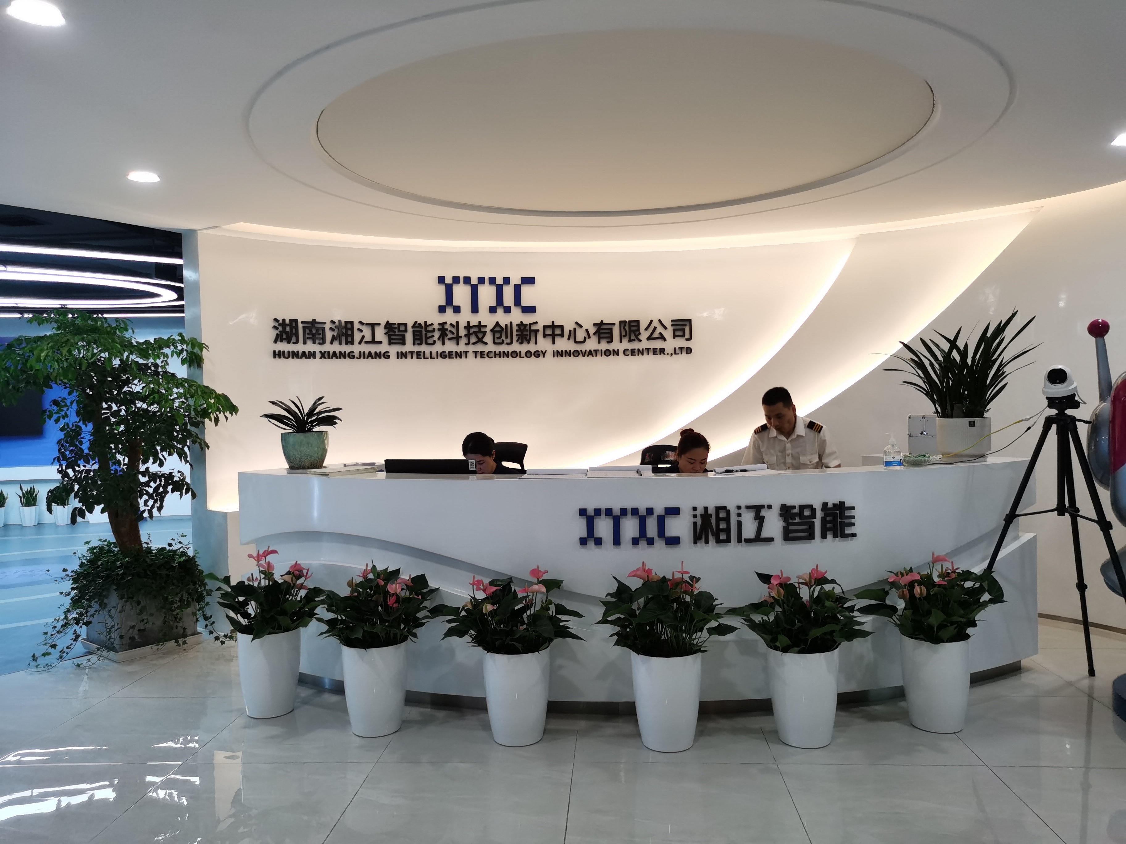 長(zhǎng)沙花卉租擺——工業(yè)園區(qū)擺花-綠植租擺-辦公樓擺花-湘江智能