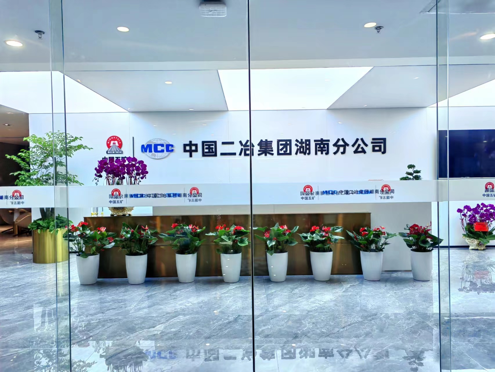 長(zhǎng)沙花卉租擺——辦公樓綠植租擺-綠植租擺-辦公樓擺花-中國(guó)二冶集團(tuán)湖南分公司