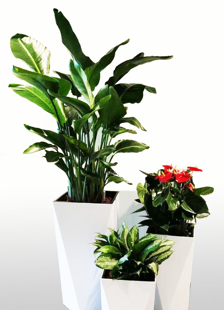三植物組合