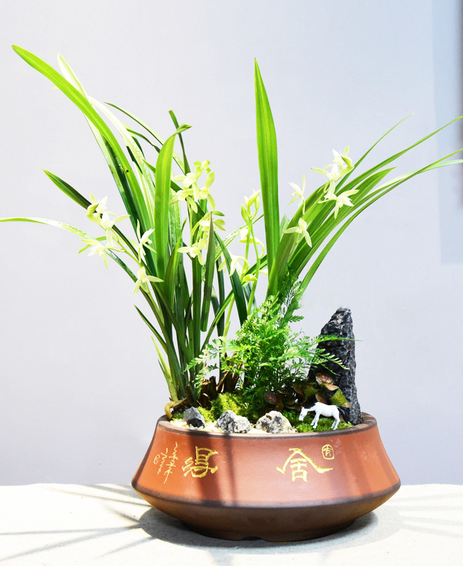 建蘭組合
